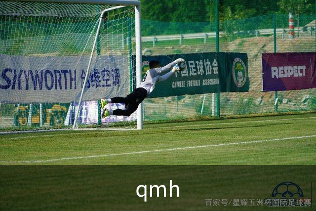 qmh公司简介配图